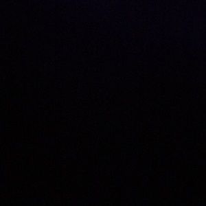 Meet your Posher, Delilah